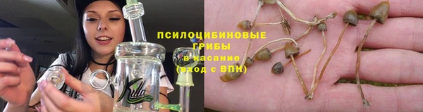 соль курить ск Михайлов