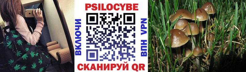 Псилоцибиновые грибы прущие грибы  Купить  Белебей 
